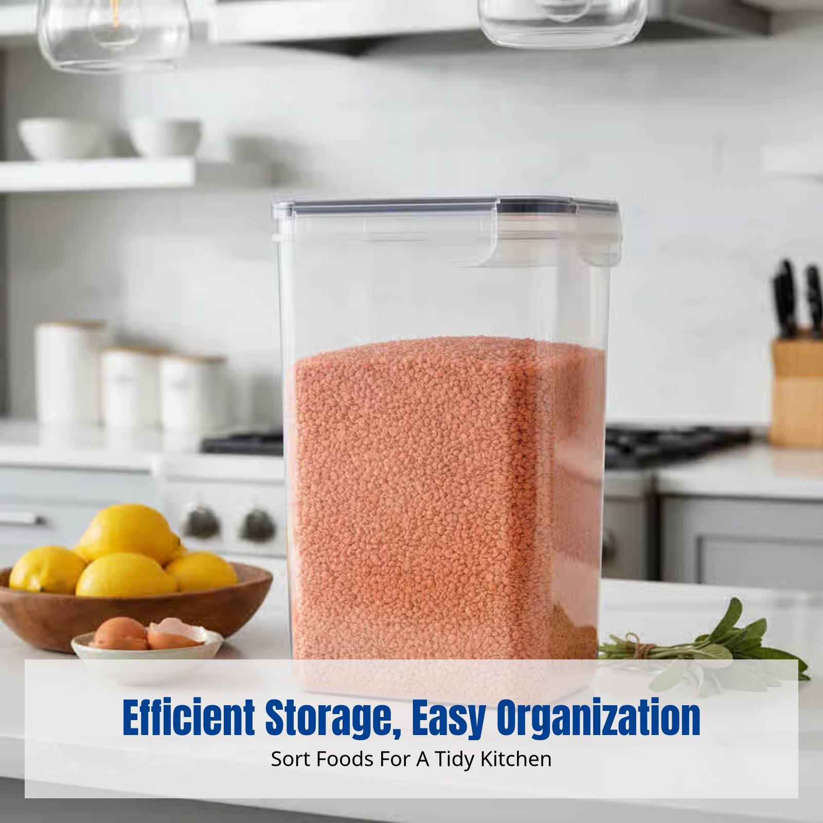 Food Storage Container - Airtight Food Storage Container Set, Large