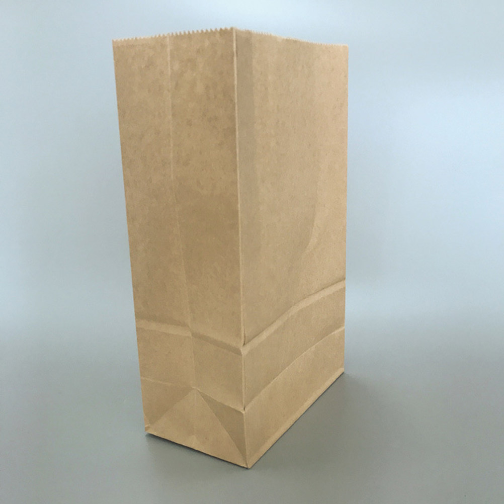 100pcs Kraft Paper Bag Small S - Food Storage Large review and price