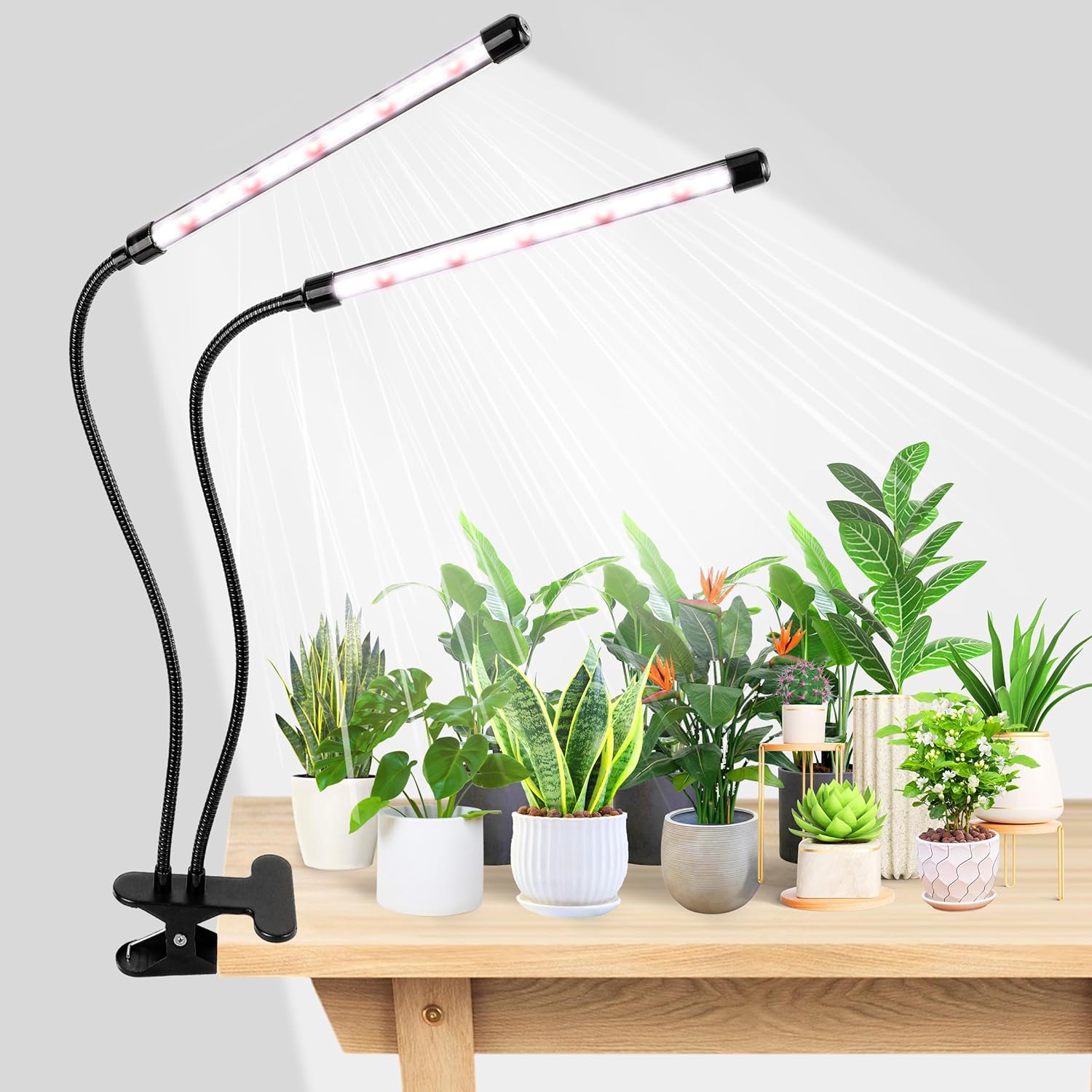 KEBINCPLED USB 5V Clip Plant G - Food Storage Plants review and price