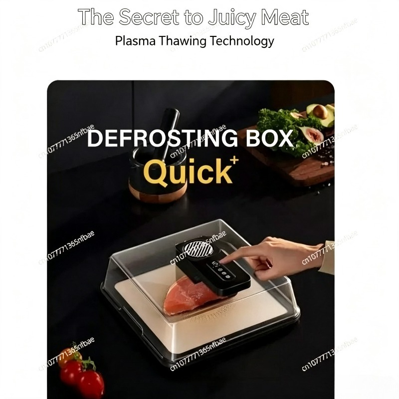 Type-C Charging Defrosting Box - Food Storage Frozen review and price
