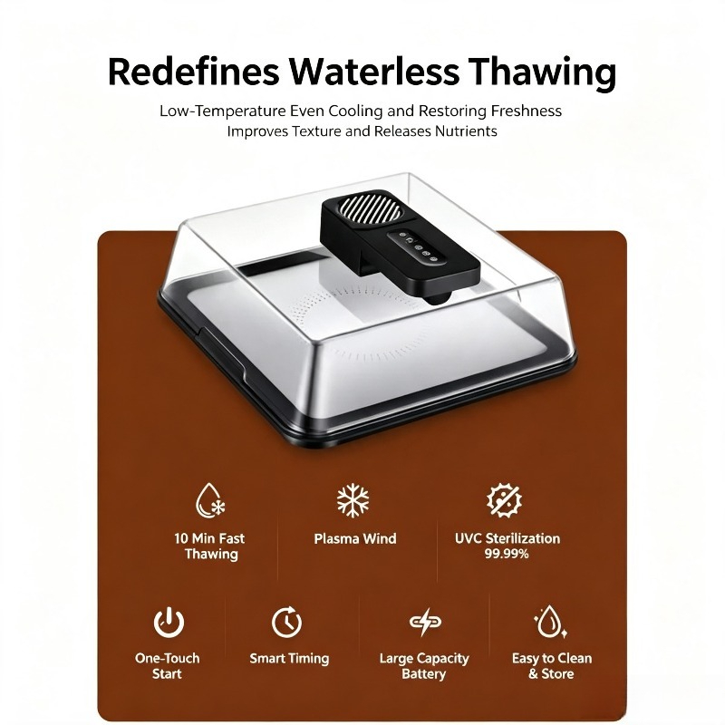 Type-C Charging Defrosting Box - Food Storage Frozen review and price