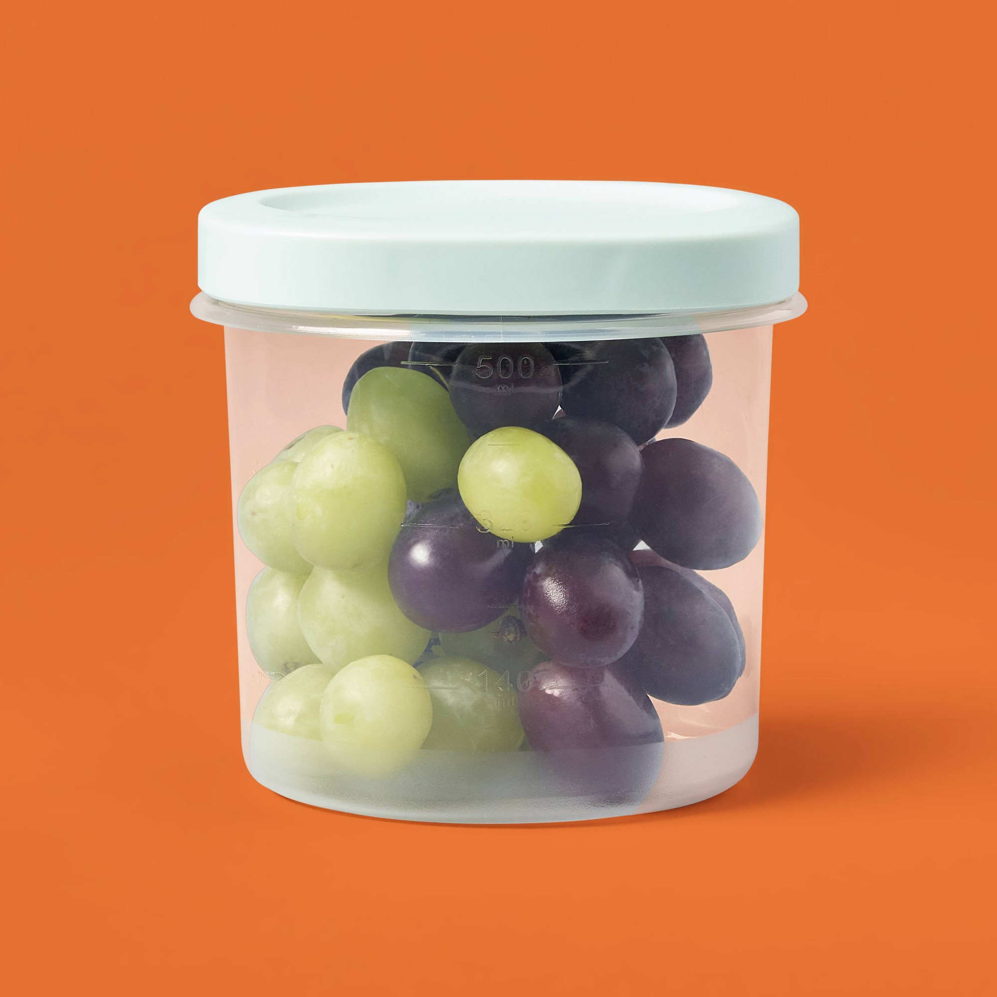 2ct Large Round Twist Food Sto - Food Storage Large review and price