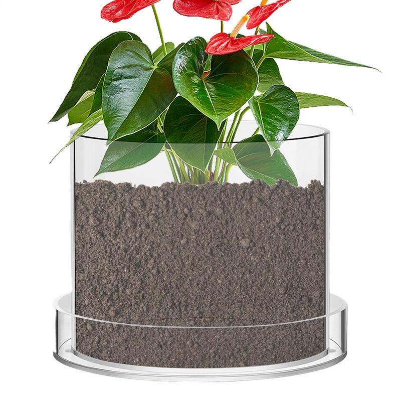 Clear Plant Pots With Drainage - Food Storage Plants review and price