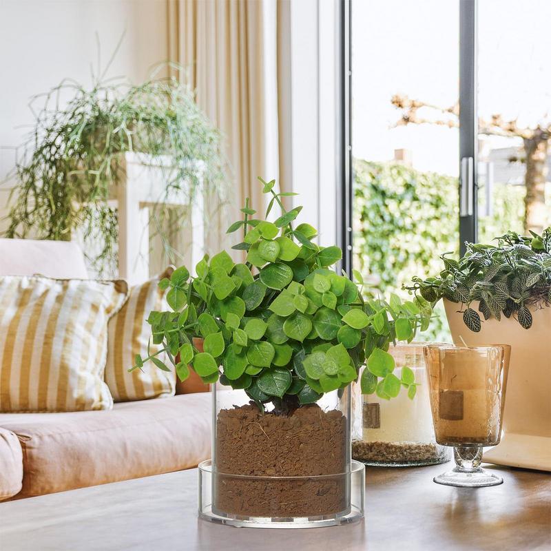 Clear Plant Pots With Drainage - Food Storage Plants review and price