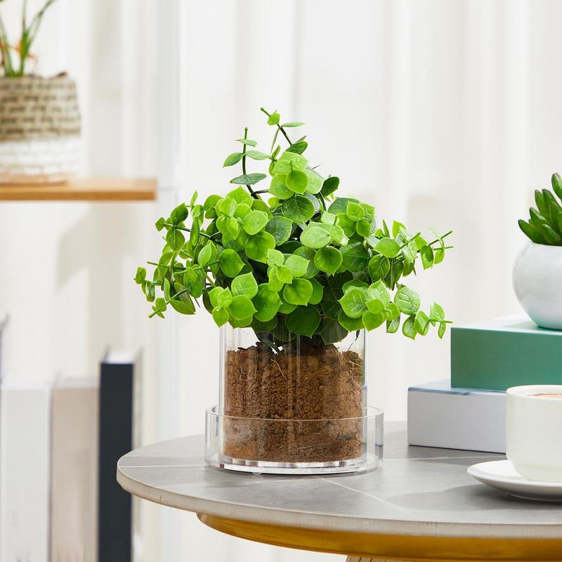 Clear Plant Pots With Drainage - Food Storage Plants review and price