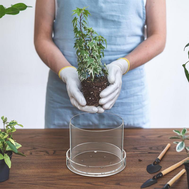 Clear Plant Pots With Drainage - Food Storage Plants review and price