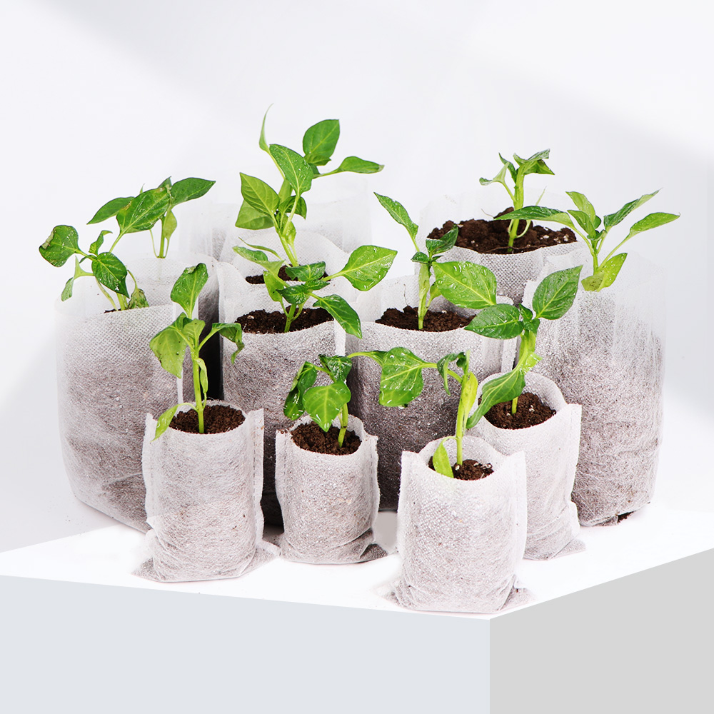Biodegradable Nonwoven Fabric  - Food Storage Plants review and price