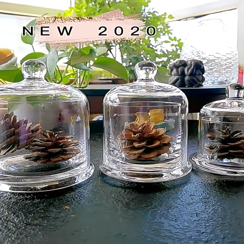 Glass Glass Storage Jar Eterna - Food Storage Plants review and price