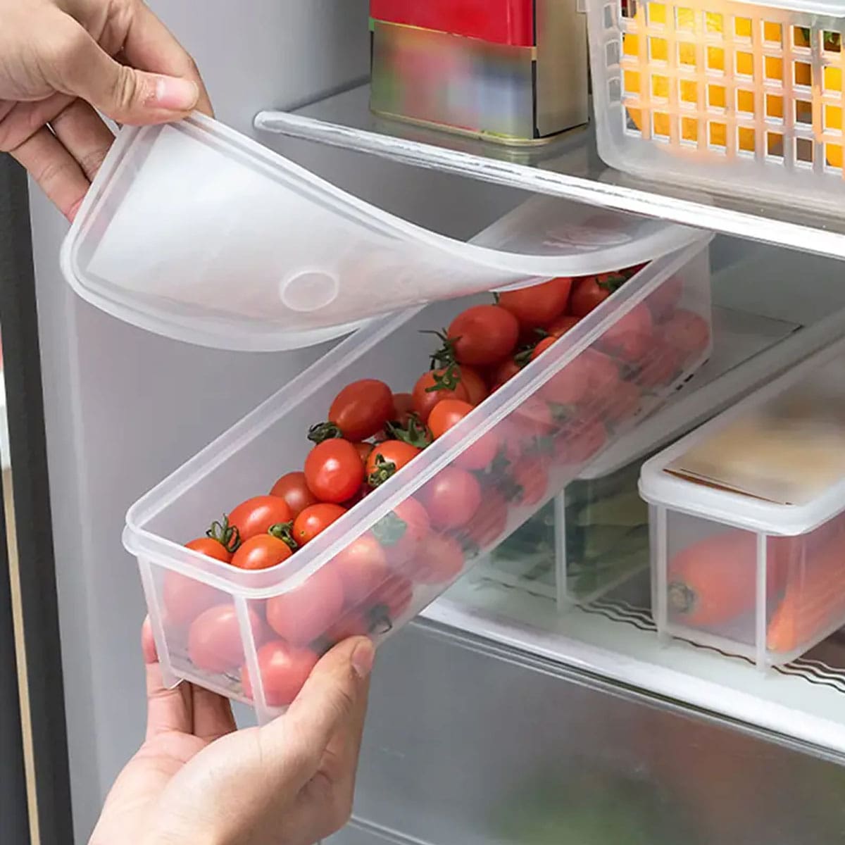 1 Plastic Transparent Storage  - Food Storage Boxes With Lids review and price