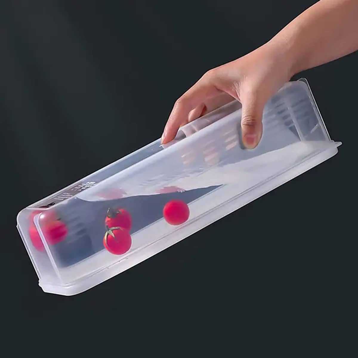 1 Plastic Transparent Storage  - Food Storage Boxes With Lids review and price